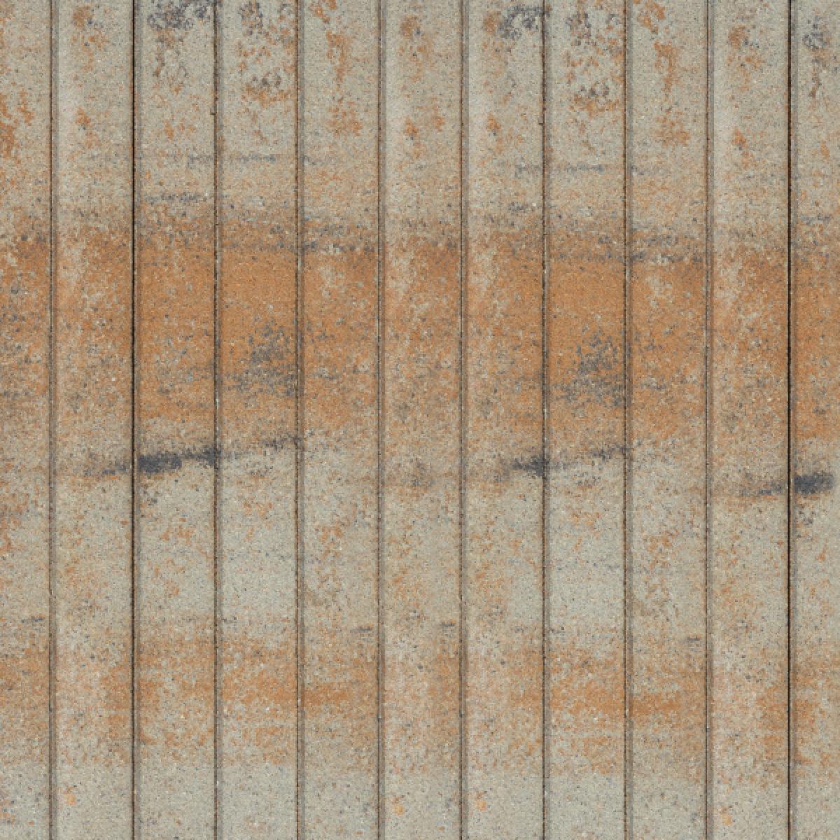 Swalk kerti szegélykő - Kagyló